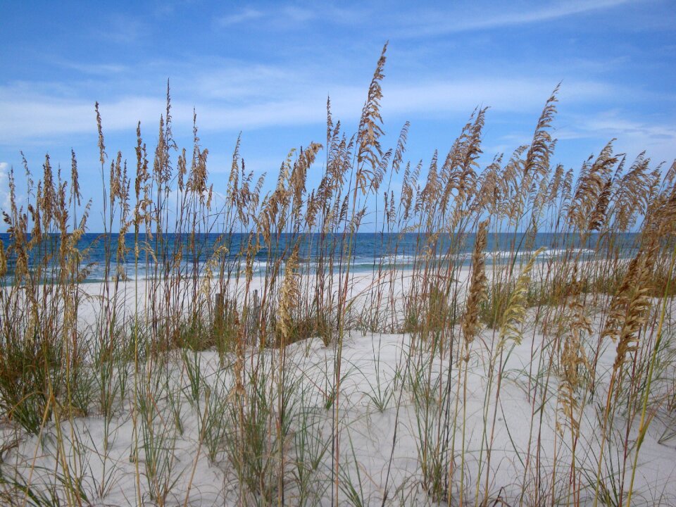 Beach florida holiday