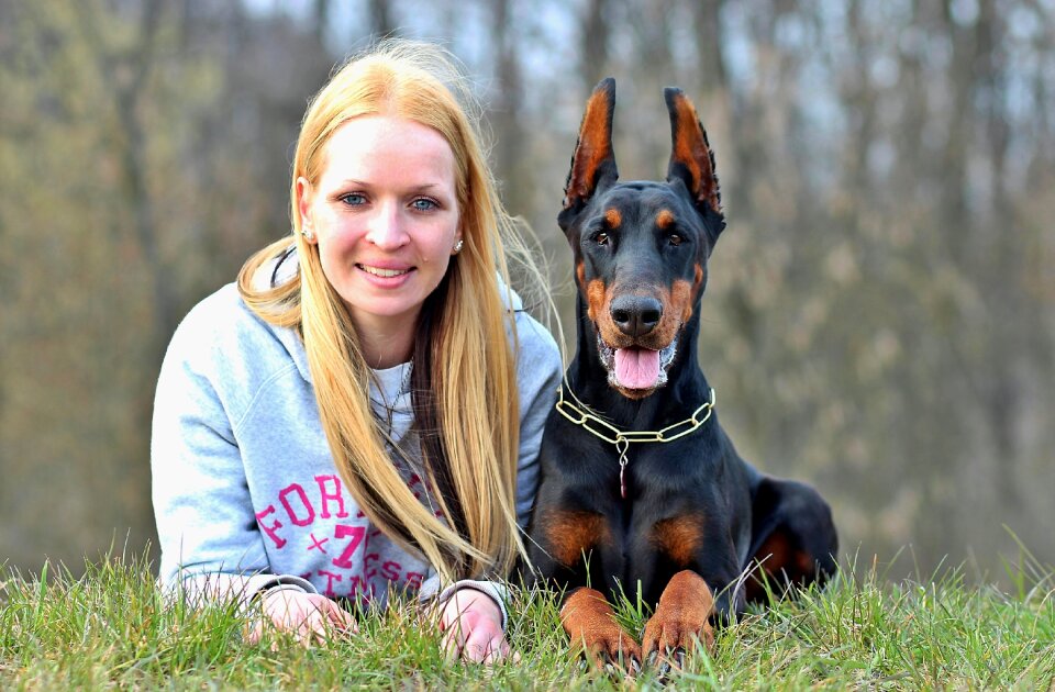 Dog animal species