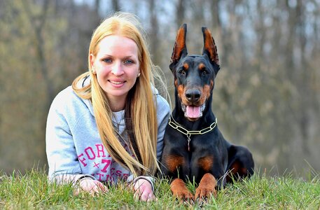 Dog animal species