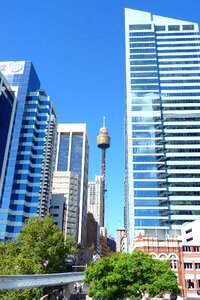 View eye tower