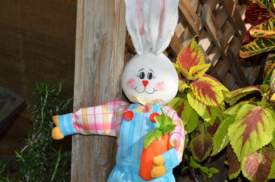 Easter animal seasonal photo