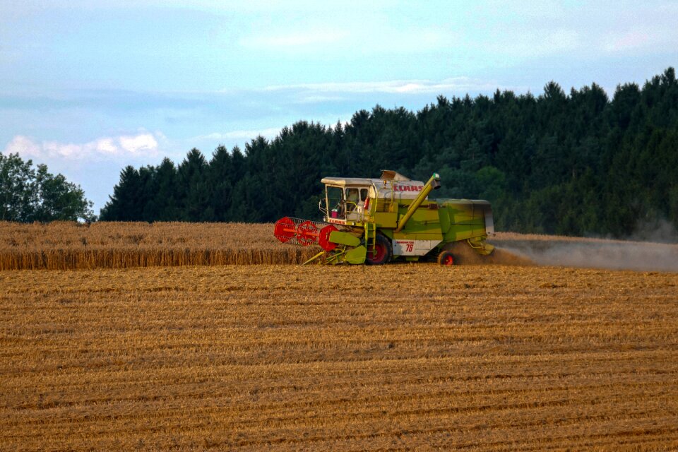 Agriculture harvest grain