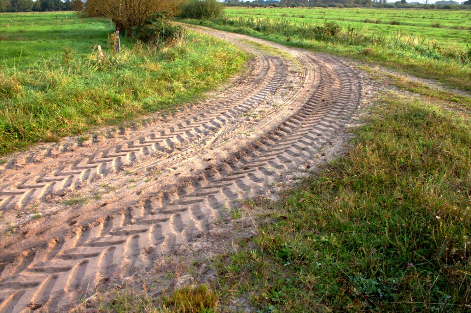 Tire track reprint nature