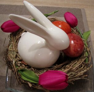 Easter bunny animal straw photo