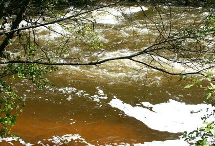 Rapids water