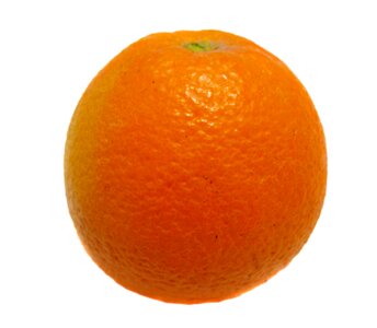 Orange isolated white background