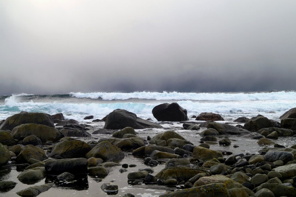 Sea beach nature