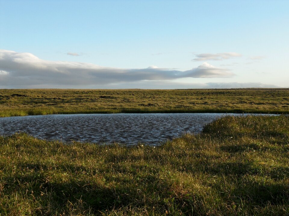 Unaffected highlands abendstimmung