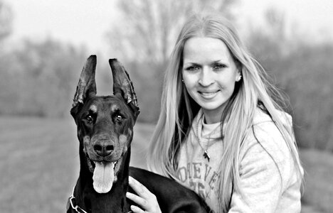 Doberman dog animal