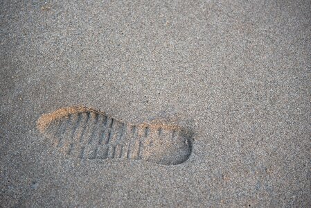 Beach walk path