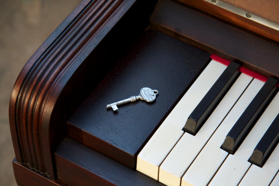Music musical instrument angestaubt
