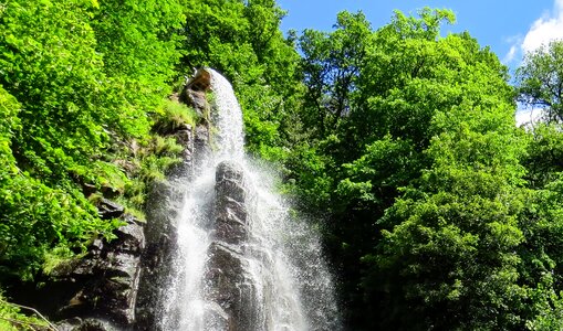 Forest steep water photo