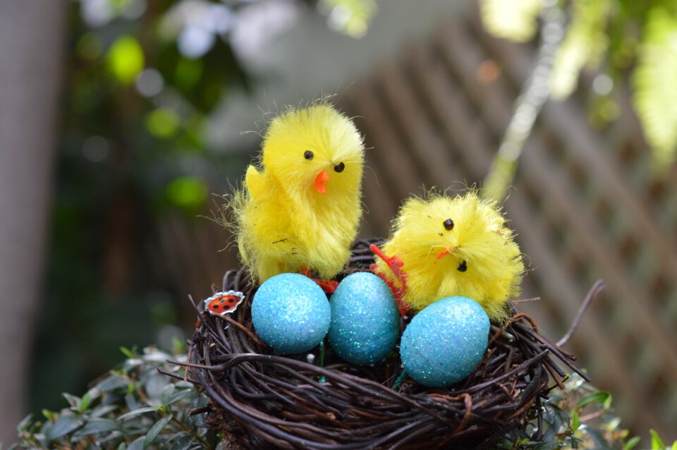 Nest easter bird nest