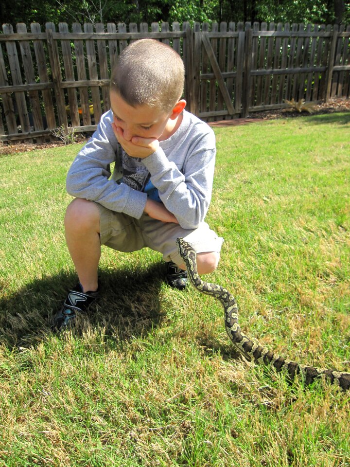 Male caucasian snake