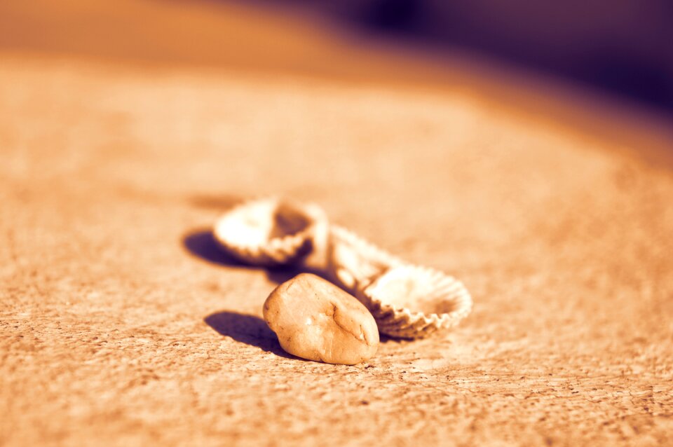 Beachcomber nature holiday