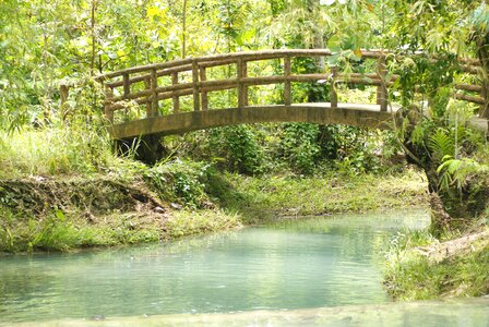 Landscape natural outdoor