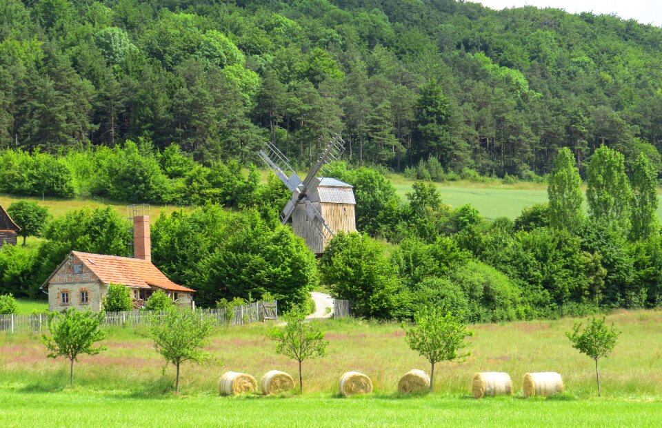 Landscape field meadow
