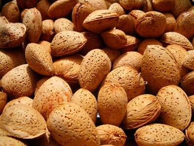 Drupe nut food