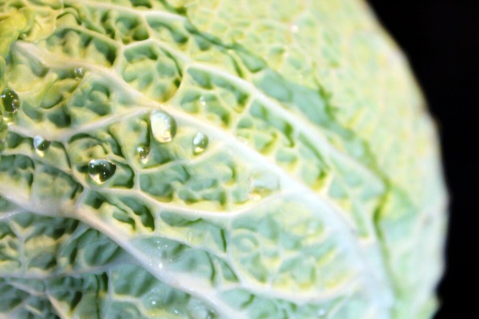 Healthy vegetables green