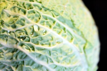 Healthy vegetables green