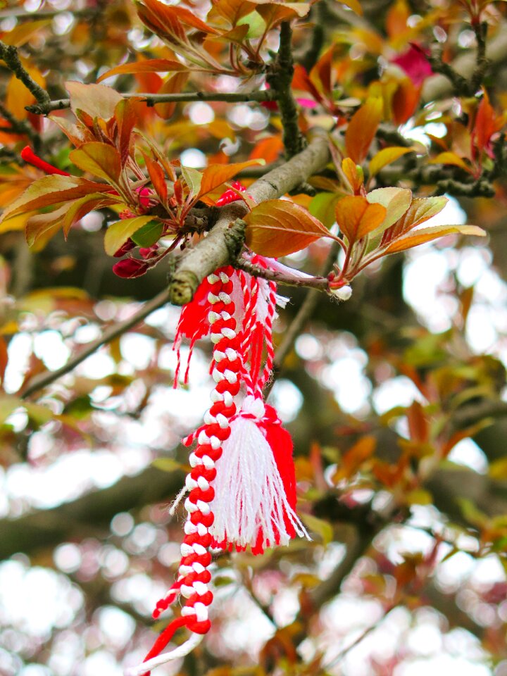 Martenitsa red traditional