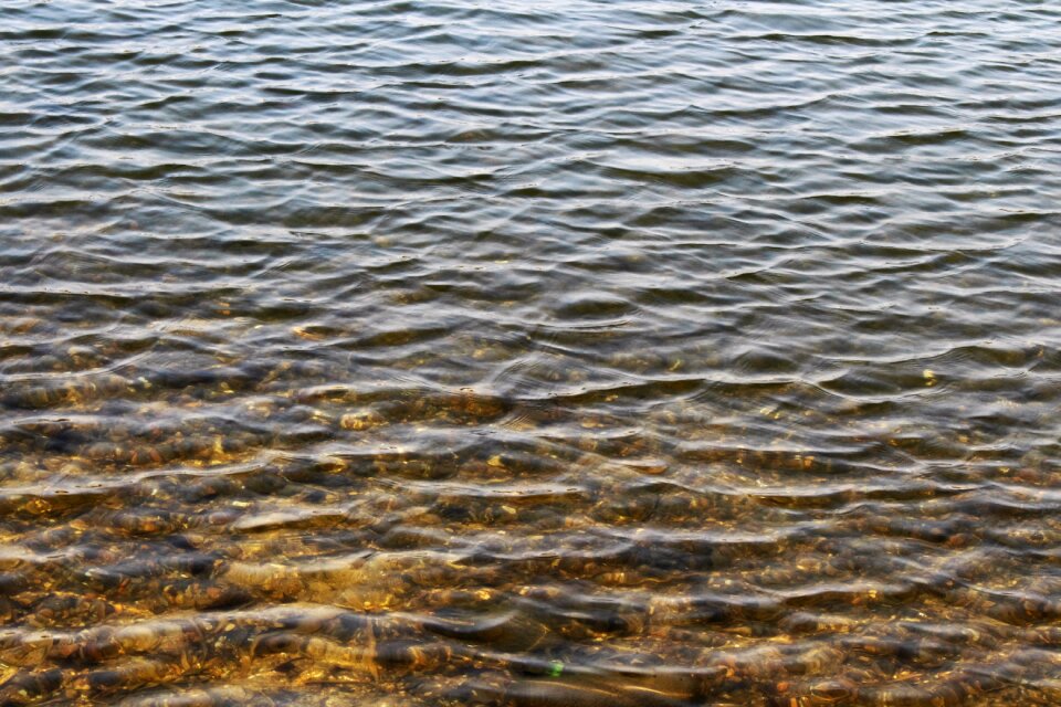 Spring lake surface