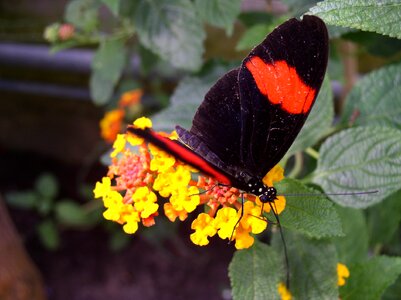 Ruhr area more nature