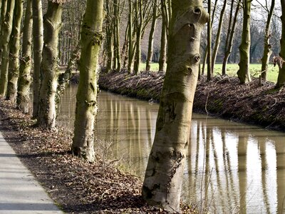 Channel nature autumn