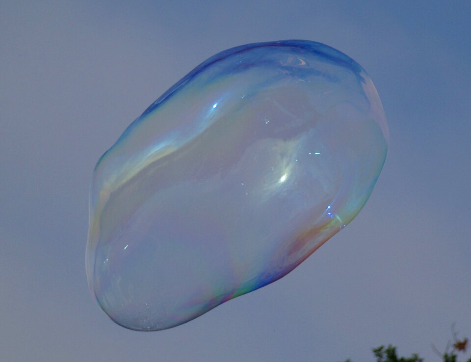 Soap bubble blubber large