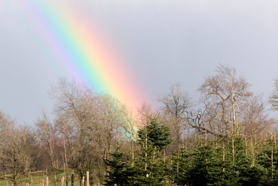 Natural phenomenon mood weather photo