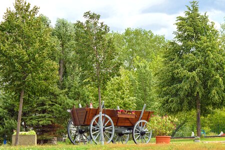 Trees landscape prettin