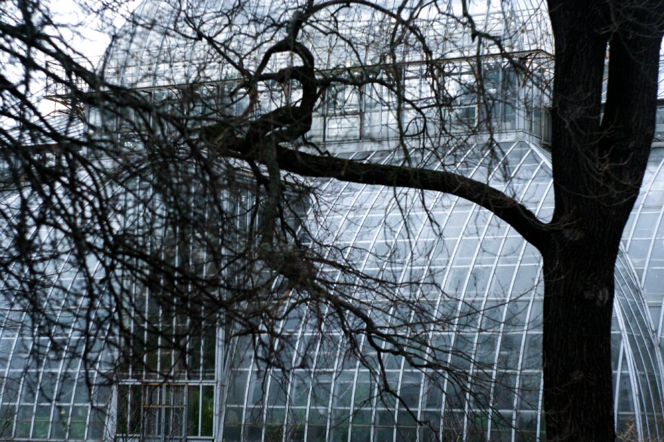 Window greenhouse garden