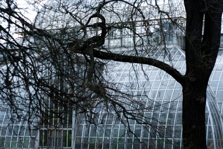 Window greenhouse garden