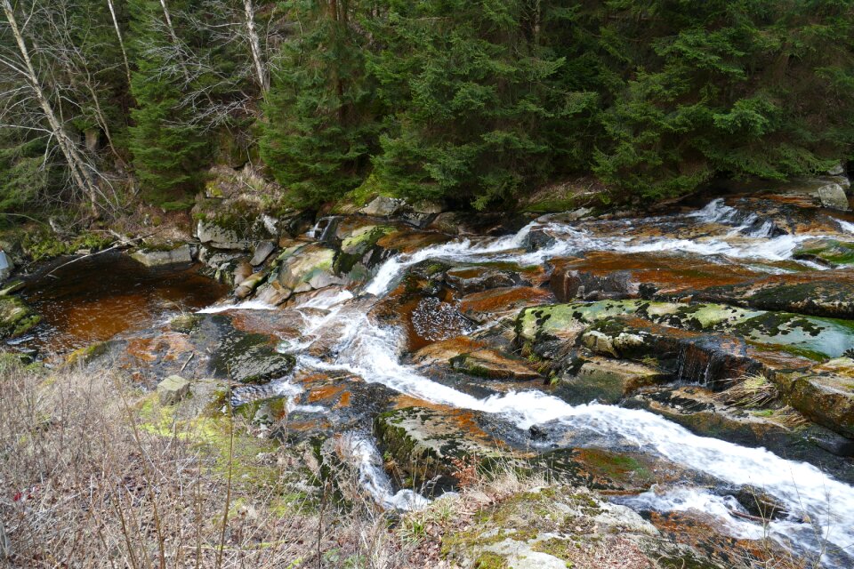 Water landscape bemoost