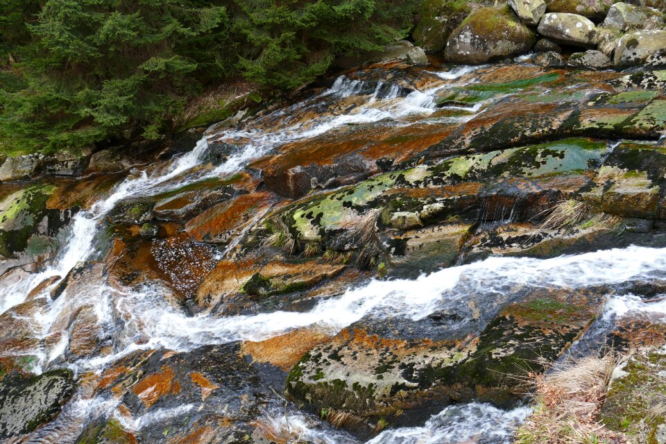 Water landscape bemoost