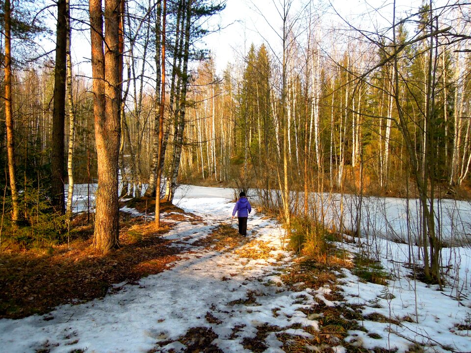 Man finnish landscape