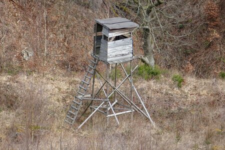 Nature perch mountain world