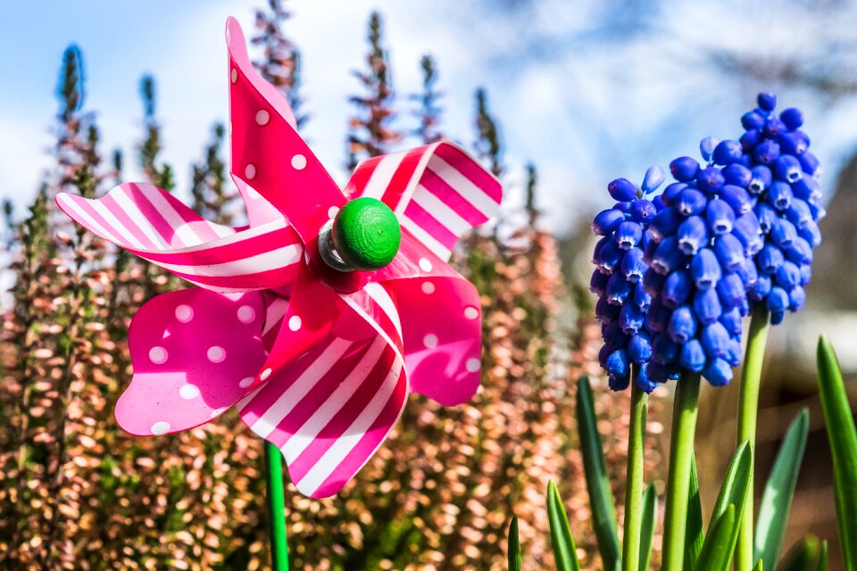 Turn colorful pinwheel