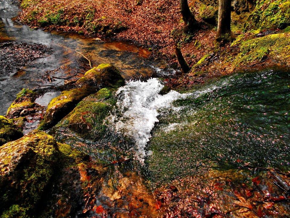 Water the brook landscape