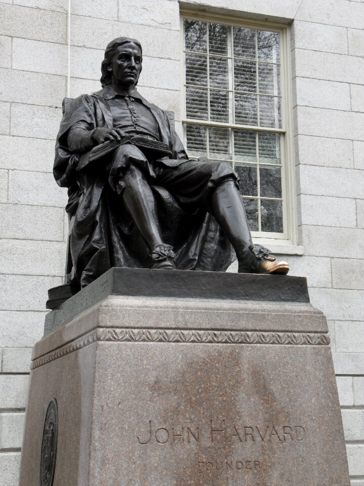 Boston university shoe lace