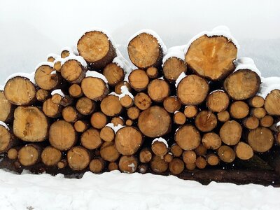 Snow cold firewood photo