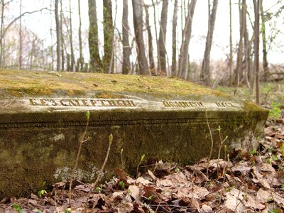 Forest grave stone