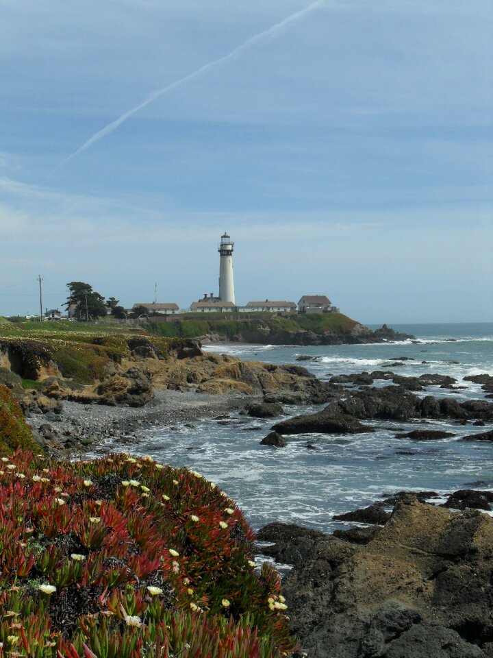 Coast flowers pacific