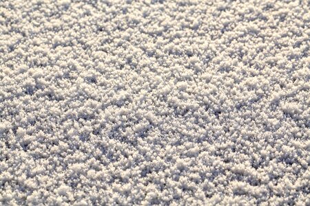 Winter hoarfrost snow crystals