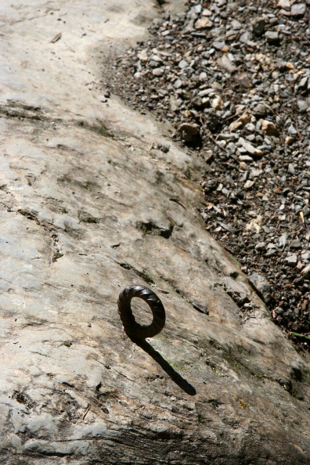 Hook rock stone