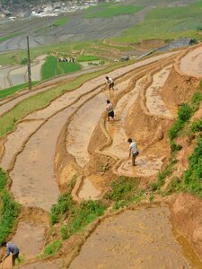 Vietnam landscape agriculture photo