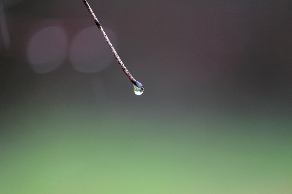 Nature drop of water rain