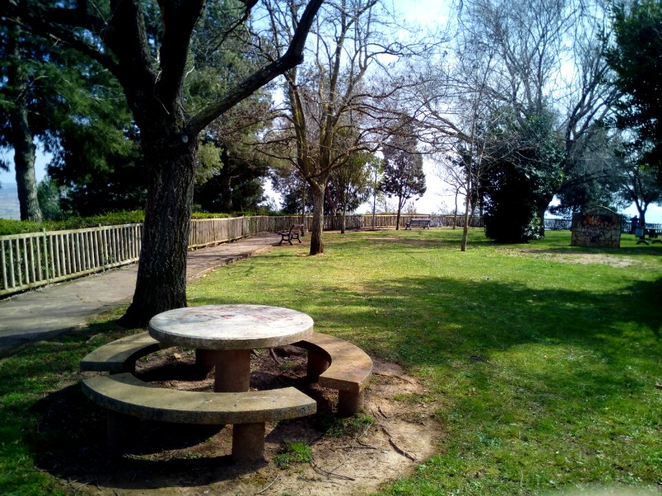 Picnic barbecue leisure