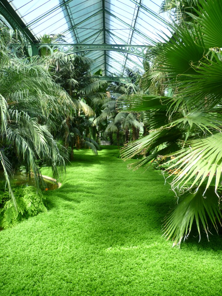 Wilhelma stuttgart plant house
