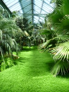 Wilhelma stuttgart plant house